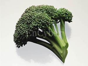장수웰빙식품 이미지