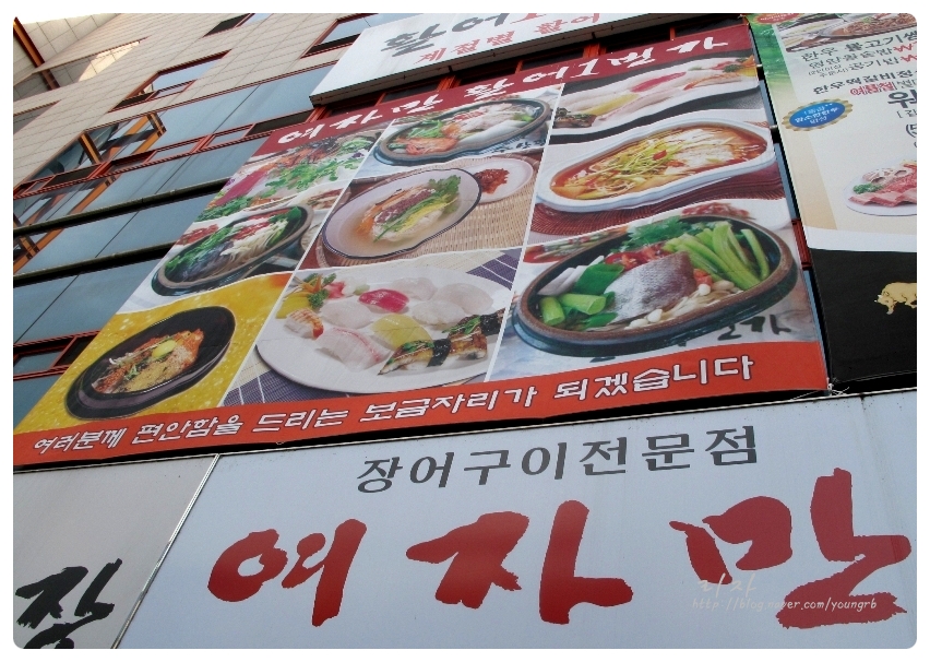 여자만장어 이미지