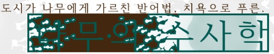 수레세탁소 이미지