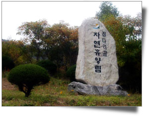 집다리골자연휴양림 이미지