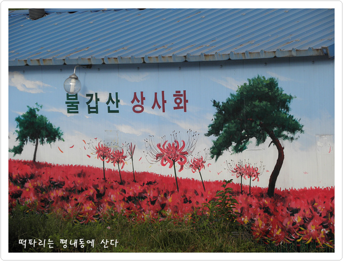 태양신발마트 이미지