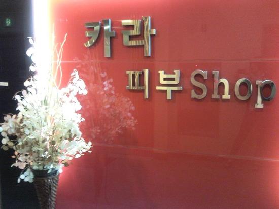 카라샾 이미지