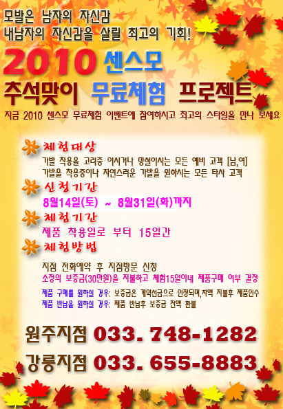 제천가발 이미지