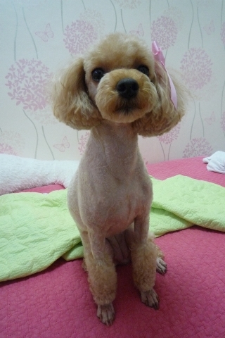 써니미장원 이미지
