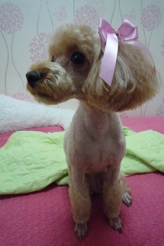 써니미장원 이미지