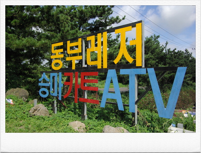 초원을 달리자 이미지