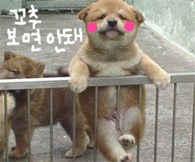 참 이미지