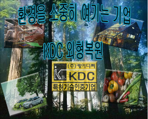 케이디씨외형복원 이미지