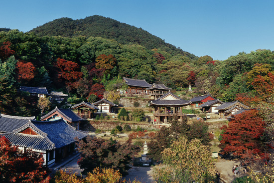 산좋고물좋고 이미지