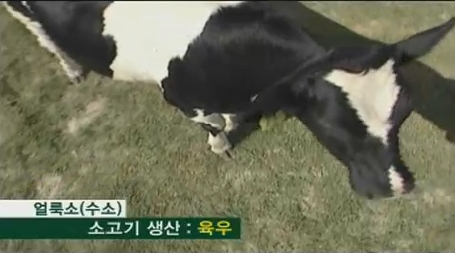 일품육우 이미지