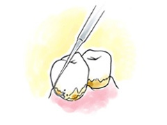 내츄럴치과 이미지