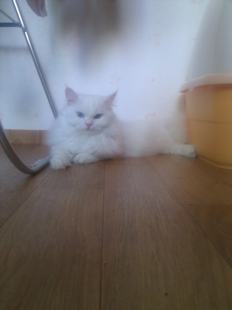 못때이 이미지