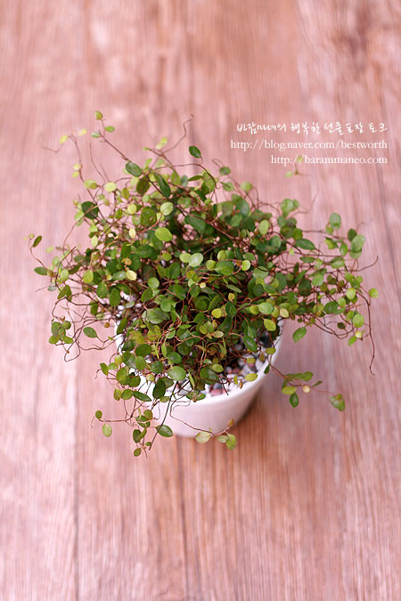 낯선작업실 이미지