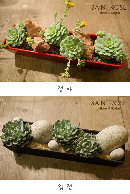 모아꽃집 이미지