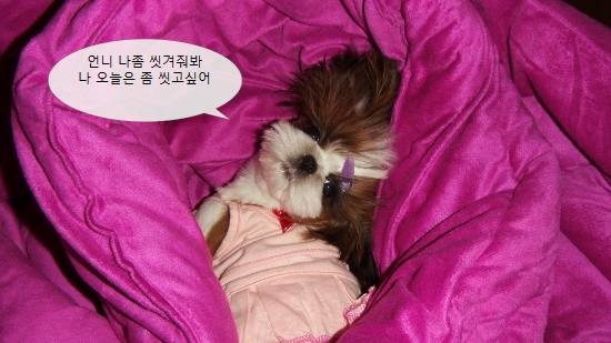 하나이불 이미지