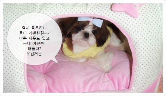 하나이불 이미지