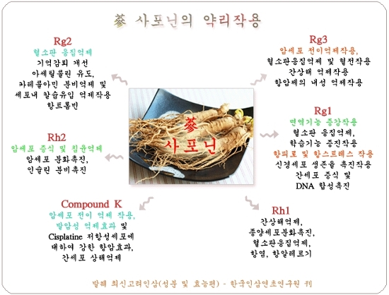 정성원 이미지