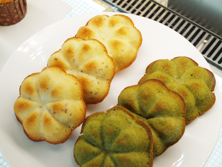 미소케이크(miso cake) 이미지