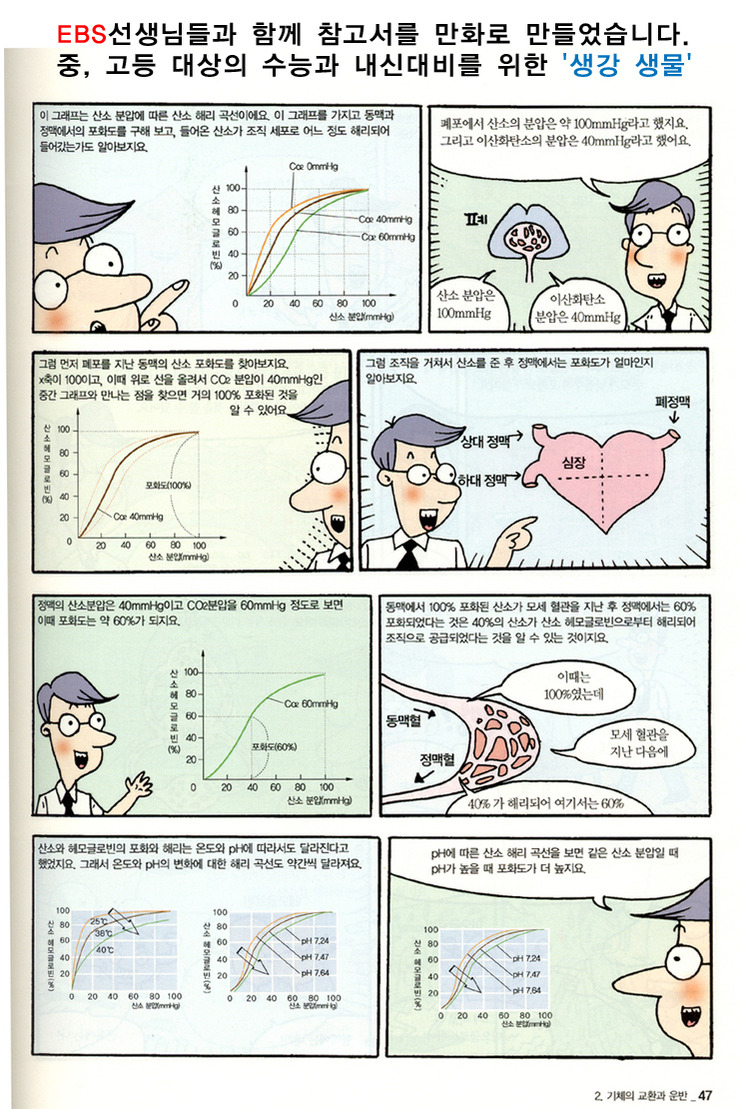 케이엔케이 이미지