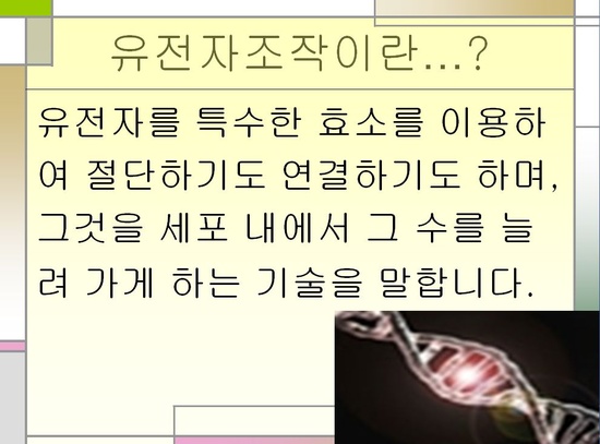 쥐쥐쥐에이치 이미지