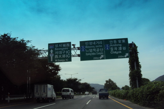 신천대로사람들 이미지