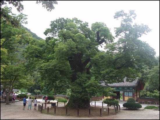 새만금펜션 이미지