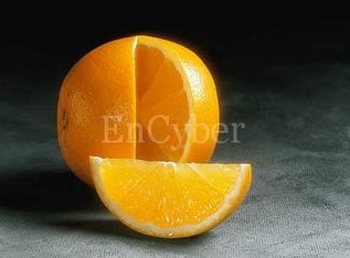 만다린 이미지