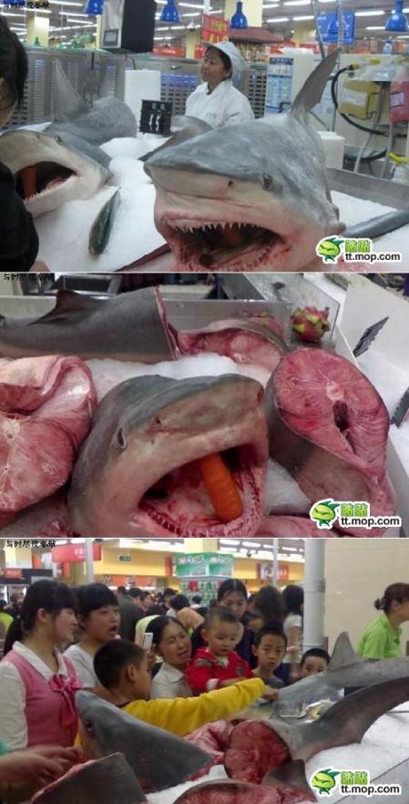 대륙마트 이미지
