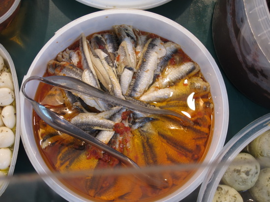 앤쵸비 이미지