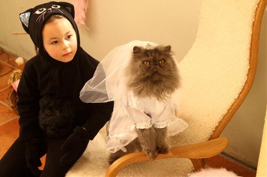 쏭스 이미지