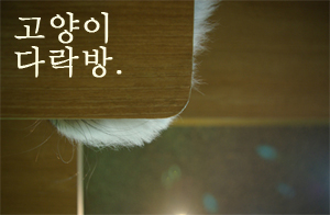 고양이다락방 이미지