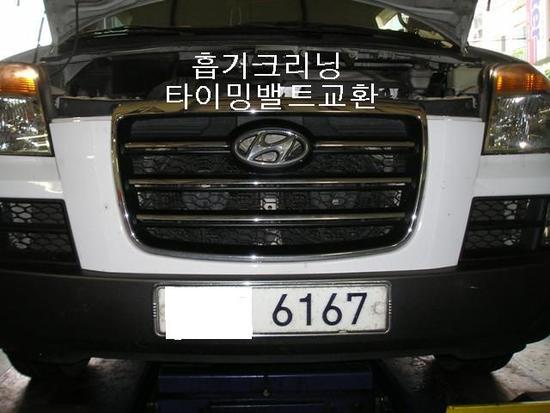 그린카센타 이미지