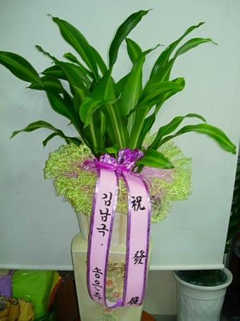 미소뷰티샵 이미지
