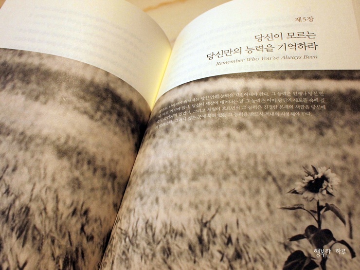 킹마라 이미지
