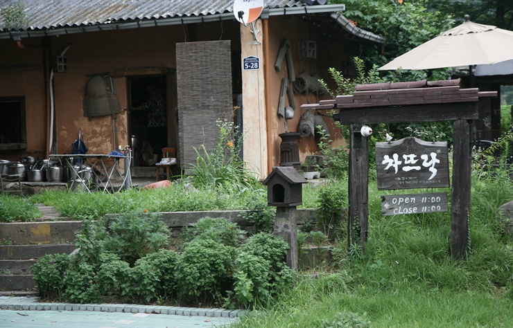 차뜨락 이미지