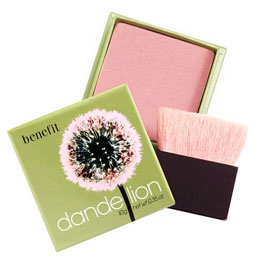 단델리온(Dandelion) 이미지