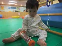 평촌과천짐보리 이미지
