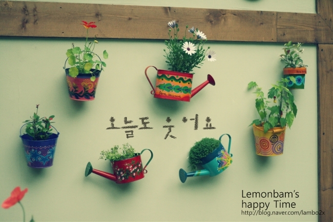 와이지몰 이미지