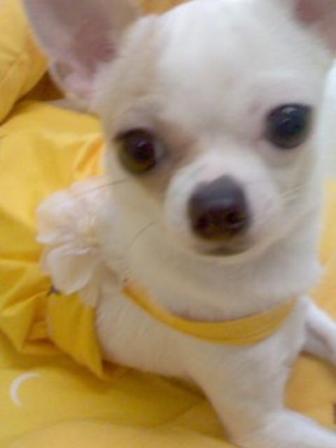 순이 이미지