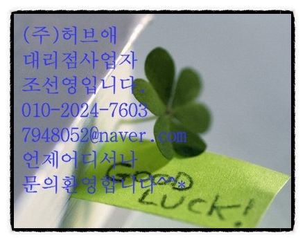 허브애 이미지