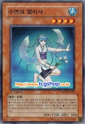 앨리사 이미지
