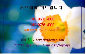 허브애 이미지