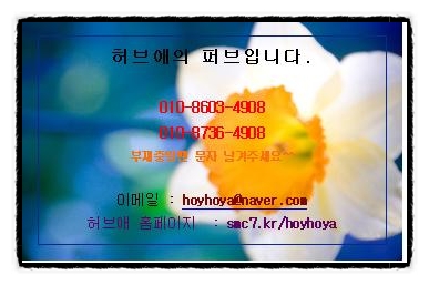 허브애 이미지