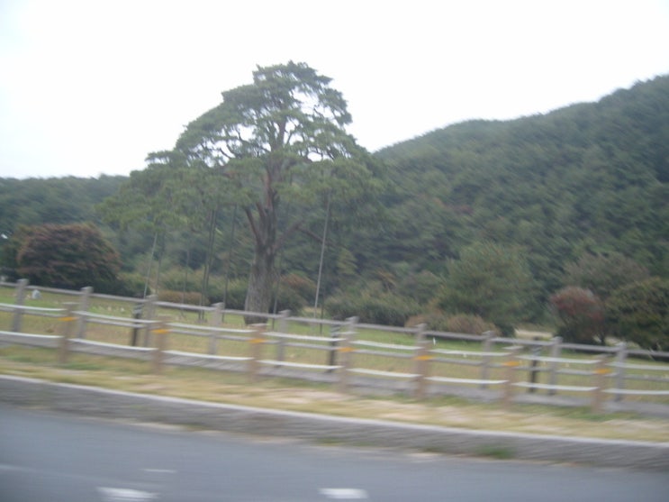 문장대카페 이미지