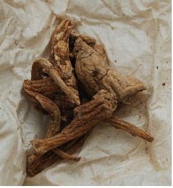 대한인삼 이미지