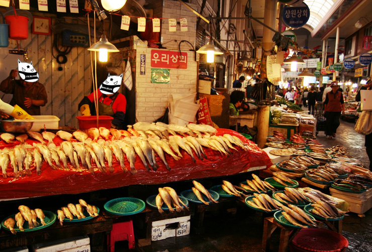 오데가꼬 이미지