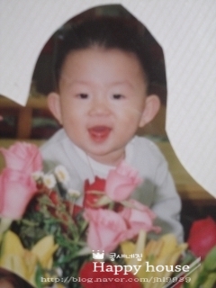 돌콩새 이미지