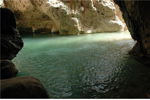 엔게디(Ein Gedi) 이미지
