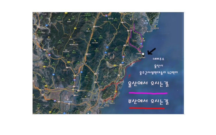수연호 이미지