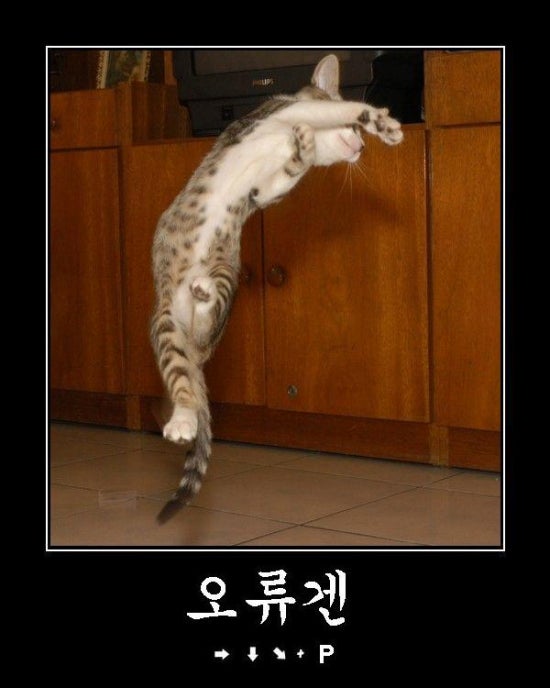 오류겐 이미지